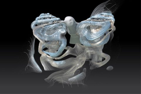 Inside Fluids: Clebsch Maps for Visualization and Processing (SIGGRAPH 2017)